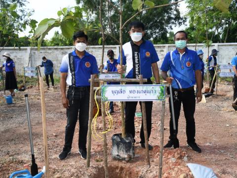 ปลูกต้นสักเฉลิมพรเกียรติ